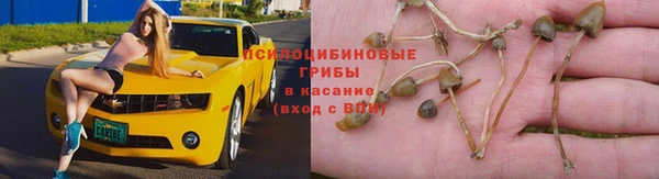 скорость Богородицк