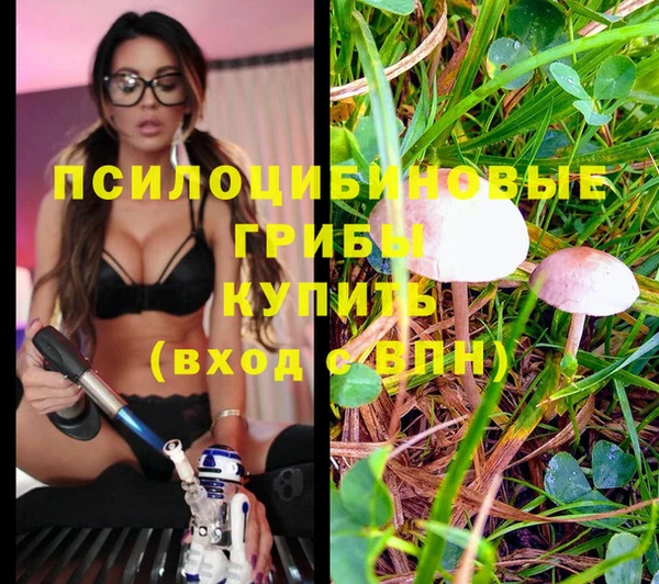 2c-b Бронницы
